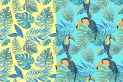 Watercolour Amazon Clipart Product Image 5