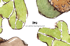 Acorns &amp; Leaves Seamless Watercolour Patterns Product Image 8