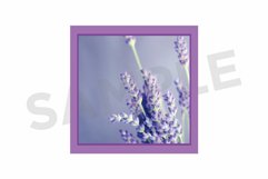 Square Instant Film Frame Clip Art Set Product Image 7