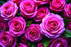 Pink roses background Product Image 1
