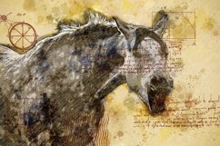 ANIMAL Printable Illustrations Pack # 20 graphics JPG Product Image 1