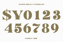 Ravione Display Product Image 8