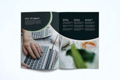 Business Brochure Template Product Image 11