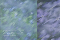 Caelum - Botanical Backgrounds Product Image 9