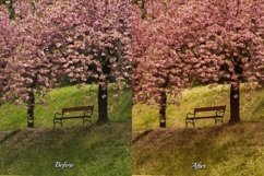 30 Blossom LUT Collection Product Image 5