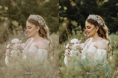 30 Bridal LUT Collection Product Image 3