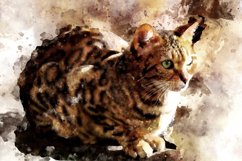 Printable CUTE CAT PORTRAITS 7 different formats Pack 08 Product Image 1