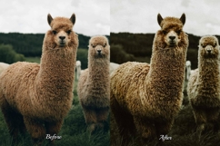 30 Countryside Lightroom Bundle Product Image 10