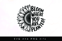 Sunflower with positive quote and butterflies svg design Product Image 1