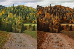 30 Fall Feel LUT Collection Product Image 9