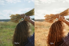 30 Harvest LUT Collection Product Image 4