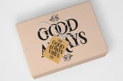 Awesome Christmas - Display Serif Font Product Image 8