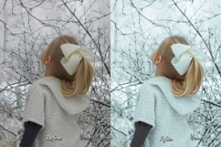 30 Snow Gift Lightroom Bundle Product Image 9