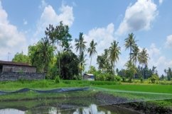 a very beautiful, comfortable, cool air Product Image 1