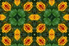 12 abstract Seamless colorful FLOWER patterns pack. Product Image 8