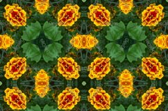 12 abstract Seamless colorful FLOWER patterns pack. Product Image 8