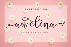 The Calligraphy Font Bundle Vol ll Product Image 2