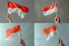 Hand Holding Indonesian Flag Product Image 1