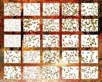 50 FALLING LEAVES TRANSPARENT PNG FILES, PHOTOSHOP OVERLAYS Product Image 3