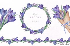 Crocus. Watercolor clipart. Product Image 3