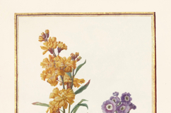 20 Vintage French Botanical Prints Gold Framed Gilded Product Image 3