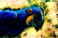 BIRDS Pack of 72 Printable Images Graphics Product Image 8