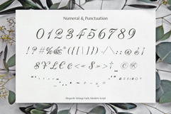 Alegarde Product Image 9