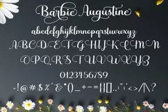 Barbie Augustine Product Image 9
