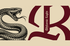 Ghivenic Font Family Product Image 10