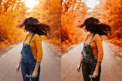 Perfessional photography with our 25 captivating Autumnal Lightroom Presets Desktop and Mobile. Aesthetic, HDR, and moody effects for Glowing results. Perfect for modeling, family, nature &amp; outdoor photography. Easy installation with XMP - DNG files.