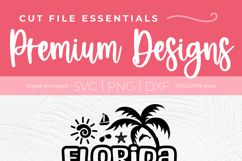 Florida Family Vacation 2026 svg - Great for a Florida Trip Product Image 5