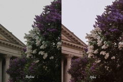 30 Blossom LUT Collection Product Image 6