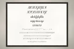 Wrenfield Script - Elegant Calligraphy Font Product Image 9