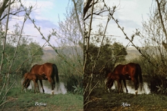 30 Countryside Lightroom Bundle Product Image 4