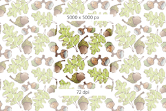 Acorns &amp; Leaves Seamless Watercolour Patterns Product Image 9