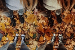 30 Fall Feel LUT Collection Product Image 10