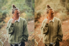 30 Golden Fall Lightroom Collection Product Image 9