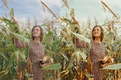 30 Harvest LUT Collection Product Image 10