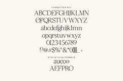 Bellovia Modern Feminine Serif Font Product Image 9