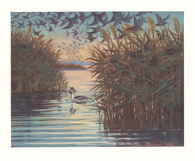 12 Prints Danish Animal Life in the Months Restored Images Product Image 3