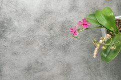 Floral background orchid flower decoration stock photo Product Image 1