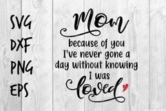 Mom loved SVG design Product Image 1
