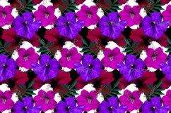 12 Seamless colorful FLOWER patterns bundle. Digital Paper Product Image 5