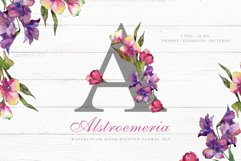 Alstroemeria Watercolor png Product Image 1