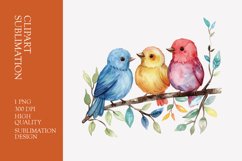 Cute baby birds watercolor clipart sublimation Product Image 1