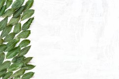 Floral border green laurel leaves frame stock photo Product Image 1