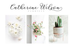 The Calligraphy Font Bundle Vol ll Product Image 11