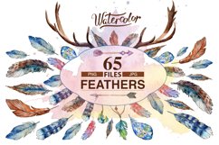 Feather PNG watercolor bird set Product Image 1