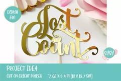 Lost Count SVG | Cake Topper SVG for Adult Birthday Product Image 3
