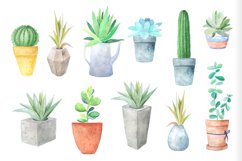 Watercolor Succulents Collection Product Image 5